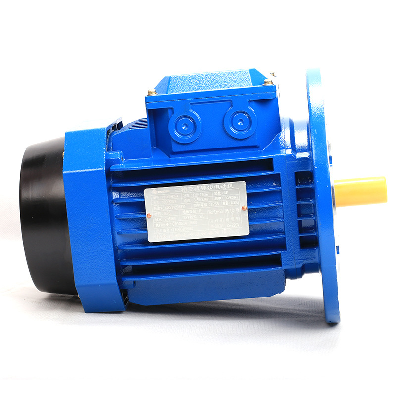 Y2 Series Motor